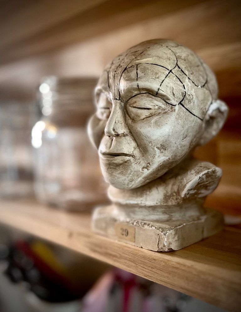 Phrenology Head – Late 19th Century Plaster Bust with Cranial Divisions Late 19th-century plaster phrenology head with incised cranial divisions, numbered “29”, under glass dome with ebonised wooden base